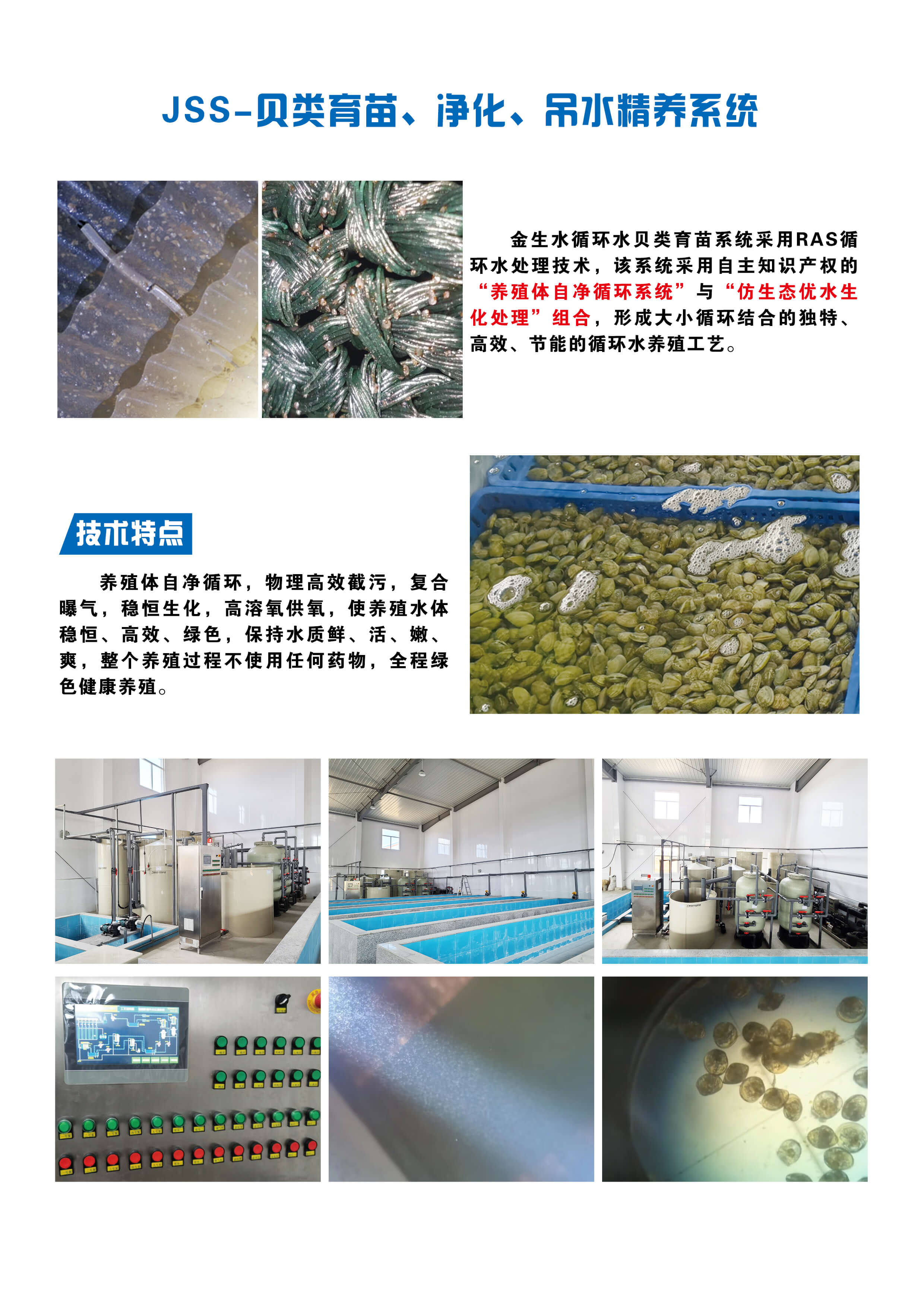 JSS-貝類(lèi)育苗凈化吊水精養系統 .jpg