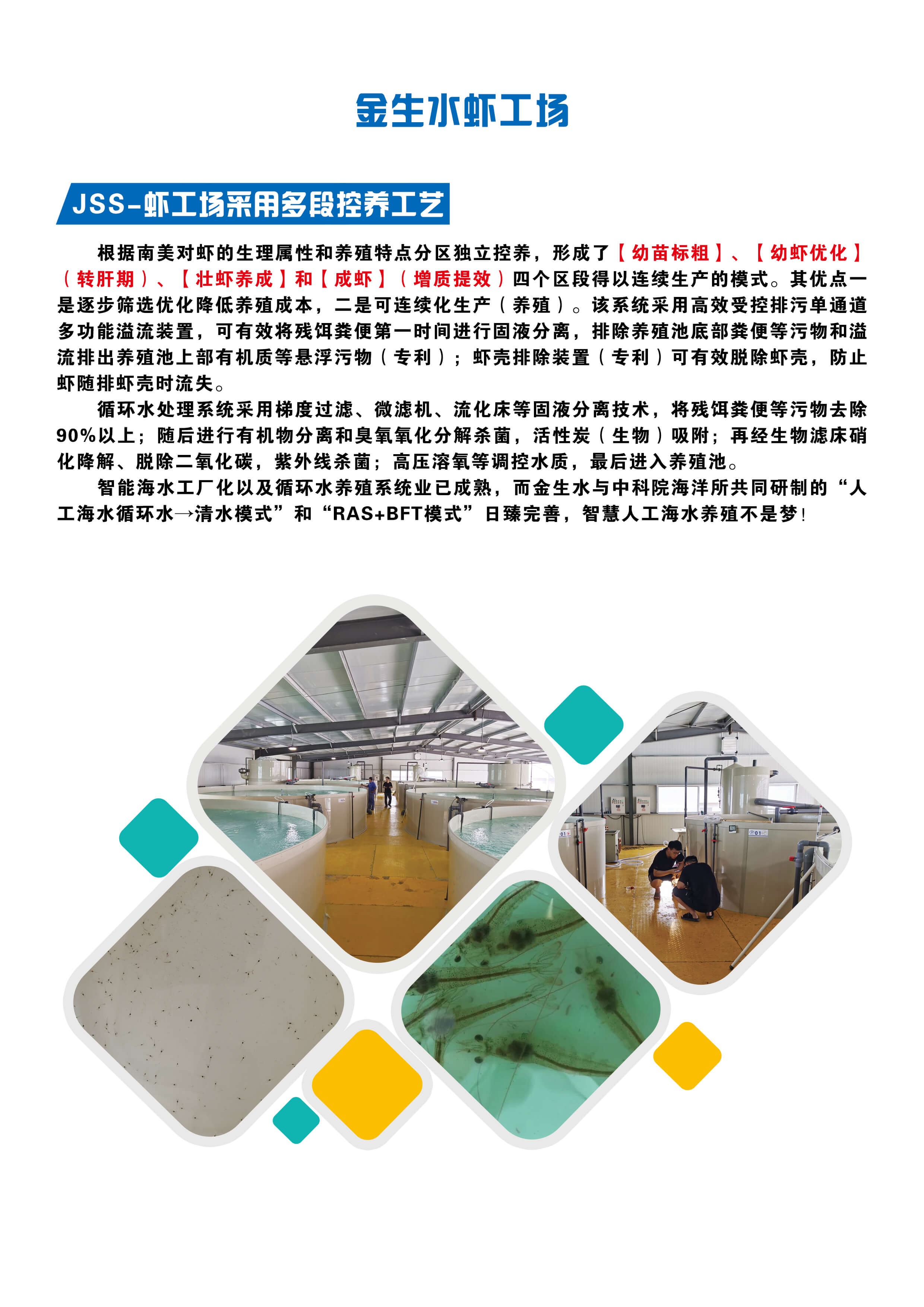金生水蝦工場(chǎng) .jpg